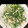 プリマライアン's cooksnap of when they made 水菜のあっさり炒め.