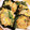 foglia5655's cooksnap of when they made 焼き海苔にのせて揚げる！春菊のかき揚げ.