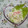 ﾆｬｰ's cooksnap of when they made 切ってまぜるだけ～簡単大根サラダ.