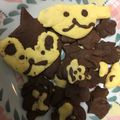 サラディナーサ's cooksnap of when they made しっとりココアクッキー.