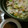 ふっち's cooksnap of when they made メチャ旨❤しゃぶしゃぶ♬♫ゴマだれ.