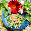 makichihua's cooksnap of when they made 水菜と桜えびのおひたし【お弁当/赤・緑】.