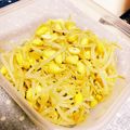 1045_'s cooksnap of when they made 簡単調理・豆もやしのナムル.