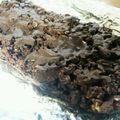 SKRs's cooksnap of when they made バレンタイン♡ホワイトデー簡単チョコバー.