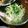 cocoりえ's cooksnap of when they made ホタテの貝柱と大根のサラダ☆.