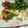 クックKN7GSC☆'s cooksnap of when they made 野菜とソーセージのカルボナーラサラダ♪.