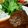 ＠おまにゃん's cooksnap of when they made ソースがおいしい♪煮込みハンバーグ.