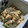 クルクルぴょこりん's cooksnap of when they made こんにゃくと三つ葉 くるみとごま白和え.