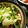 松桂建設's cooksnap of when they made 白菜と豚肉と豆苗のキムチミルフィーユ鍋.