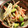 ヒツジマニア's cooksnap of when they made 柚子胡椒風味♡新ごぼうサラダ.