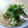 はっちぱっち's cooksnap of when they made 　長いもマヨぽん.