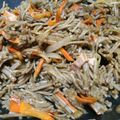 とりかな53910's cooksnap of when they made 蕎麦の麺焼きそばにリメイク‼.