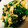 6Kana16's cooksnap of when they made ほうれん草で簡単一品♡.
