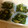 Athlon仲間's cooksnap of when they made ほうれん草とシーチキン炒め.