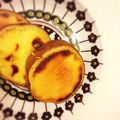 ☆pinon☆'s cooksnap of when they made さつまいものココナッツシュガー.