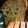 tあつこ's cooksnap of when they made ティファールHBでふわふわくるみパン！.