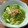 みそゆうき's cooksnap of when they made 最強ヘルシー！きのことめかぶの和え物.