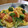 ゆみちんママ's cooksnap of when they made 簡単！トマト卵炒め.