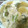 のぞきぱんだ's cooksnap of when they made 簡単ふきのとうの ふんわり卵とじ.