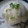 舞衣ママ's cooksnap of when they made 初夏のごちそう　野菜のお寿司。.