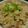 cocotea310's cooksnap of when they made イカの炊き込みご飯♪.