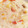 ともまま711's cooksnap of when they made 白菜と大根の 豆乳ミルク煮.