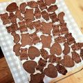 クック7L0OO9☆'s cooksnap of when they made ☆サラダ油deサクサク型抜き黒クッキー☆.