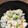 クックM9Z69A☆'s cooksnap of when they made 簡単！にんじんと枝豆の混ぜ込みご飯.