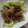 めぐえむ's cooksnap of when they made 筍と豚肉の生姜焼き.