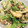 chibirock's cooksnap of when they made 皮ごと味わう新じゃがと菜の花のサラダ.