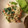 かよ14's cooksnap of when they made ❀優しいお味＊ほうれん草の白和え❀.