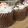 rururu28's cooksnap of when they made ＊簡単＊ふんわりカップケーキ＊.