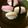 ヒサヤン's cooksnap of when they made かまぼこ ひなずしで可愛くお祝いを.