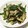 mainnieee's cooksnap of when they made 季節野菜とジャコの昆布茶炒め.