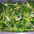 アルション's cooksnap of when they made 水菜ちりめんじゃこサラダ.