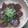 ☆おまめ☆'s cooksnap of when they made 超簡単☆最後まで飽きないマグロの漬け丼♡.