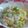 shouko's cooksnap of when they made サラダ感覚チラシ寿司.