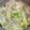 かめのたろう's cooksnap of when they made 白菜と豚バラのミルフィーユ煮.