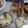 かるめ焼's cooksnap of when they made 蟹の食べ方（解体の仕方）.