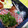 ゆん丸's cooksnap of when they made お弁当用！ピーマンの胡麻和え.