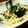 アイアンツリー's cooksnap of when they made アオサのりとシラスのパスタ.