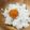 ホッと。's cooksnap of when they made しょうゆ漬け卵黄.