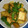紅茶とチーズケーキ's cooksnap of when they made サツマイモと厚揚げのオイスターソース炒め.