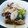 なごみん＊'s cooksnap of when they made 豚肉と玉ねぎと白ネギの炒め.