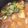クックX2QYTG☆'s cooksnap of when they made ごはんのおともに。鶏皮の味噌煮.