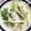 クックZ4M2C1☆'s cooksnap of when they made ニンニク香る蓮根のツナマヨサラダ.