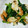 ゆいったろ's cooksnap of when they made ほうれん草とちくわのゴマ和え.