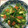 クック0U8C9B☆'s cooksnap of when they made うちの定番・オクラの梅和え.