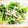 もんすけまま's cooksnap of when they made ささみと三つ葉の海苔サラダ.