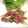 caruga's cooksnap of when they made アジのごましそ和え.